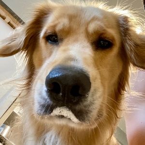 Meet your Posher, Jeffrey